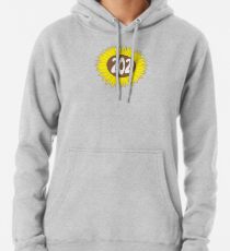 Hand Drawn Washington DC Sunflower 202 Area Code Pullover Hoodie