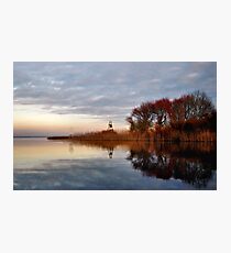 golden reeds.. Photographic Print
