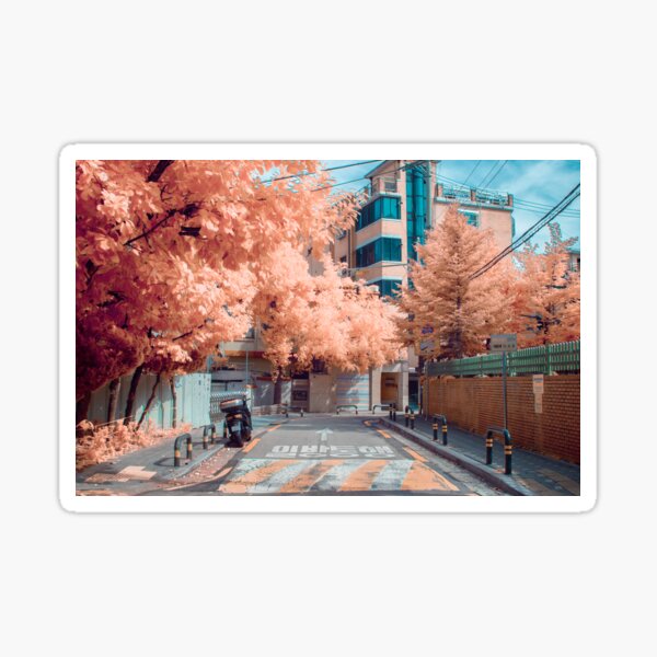 Dolgoji, Seoul Sticker