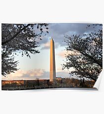 washington monument in april Poster