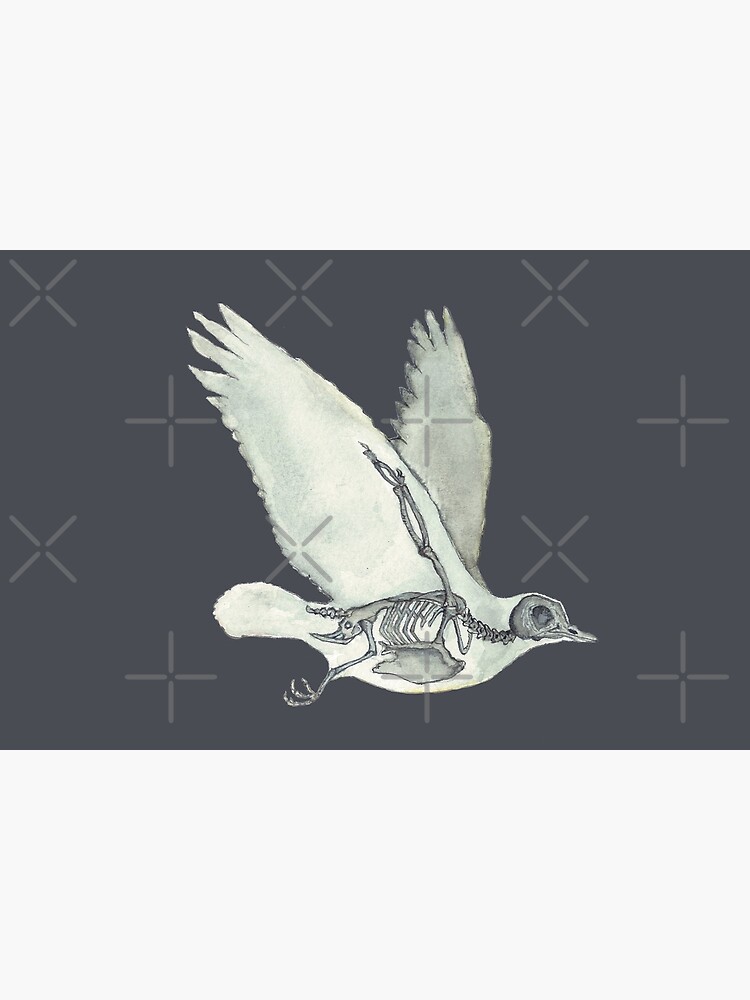 Bird Skeleton: Animal Dove Anatomy by osuariumfloreus