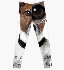 Jack Russel Leggings