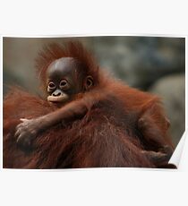 Hitching A Ride Poster