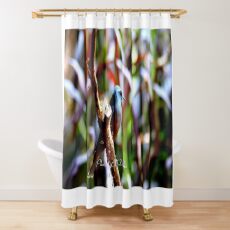 Bird of Colours Shower Curtain