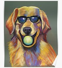 Golden Retriever with Tennis Ball Poster