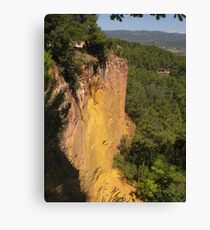 Ochre Canvas Print