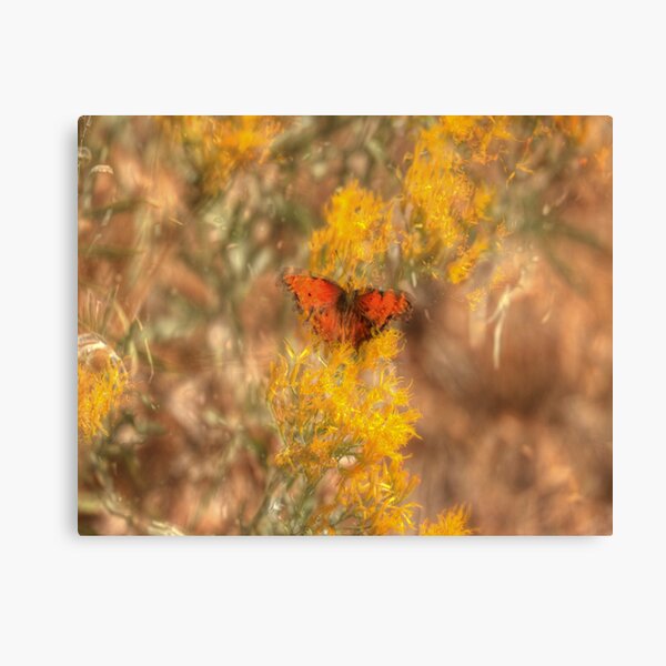 Abstract butterfly Canvas Print