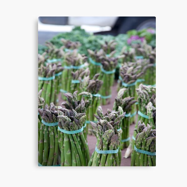 Aspargus forest Canvas Print