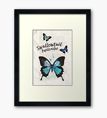 Swallowtail Framed Print