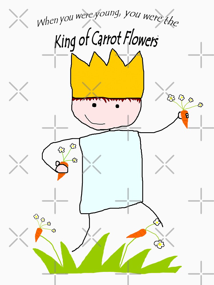 Neutral Milk Hotel King Of Carrot Flowers