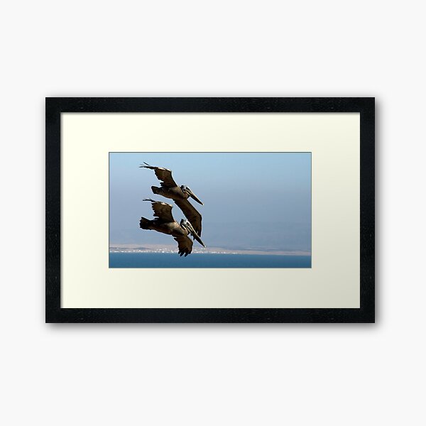 Formation Flying Framed Art Print