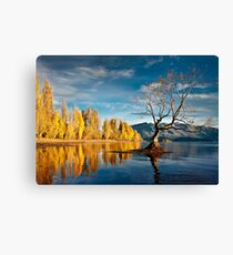 Wanaka Tree Canvas Print