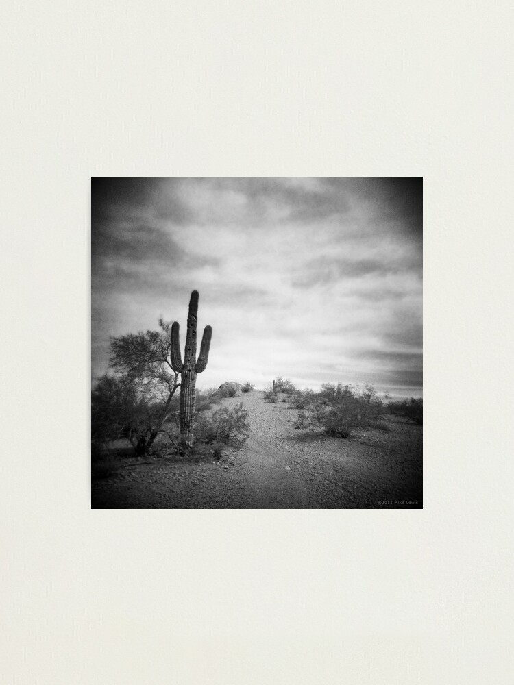 Alternate view of A Long Time After Photographic Print