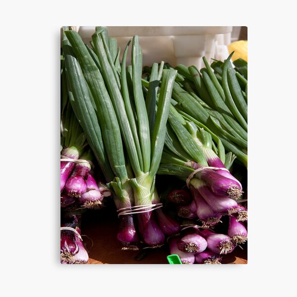 Green Onions Canvas Print