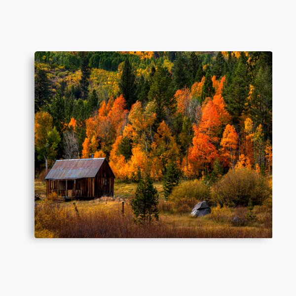 Hope Valley, CA Canvas Print