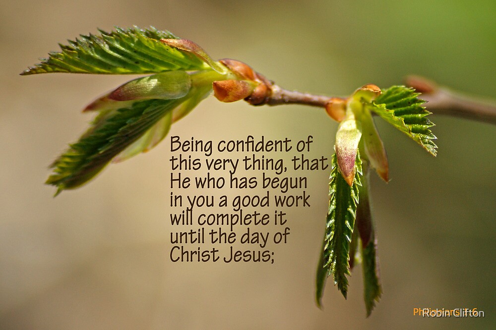 "He who has begun in you a good work ~ Phil 1:6" by Robin Clifton ...