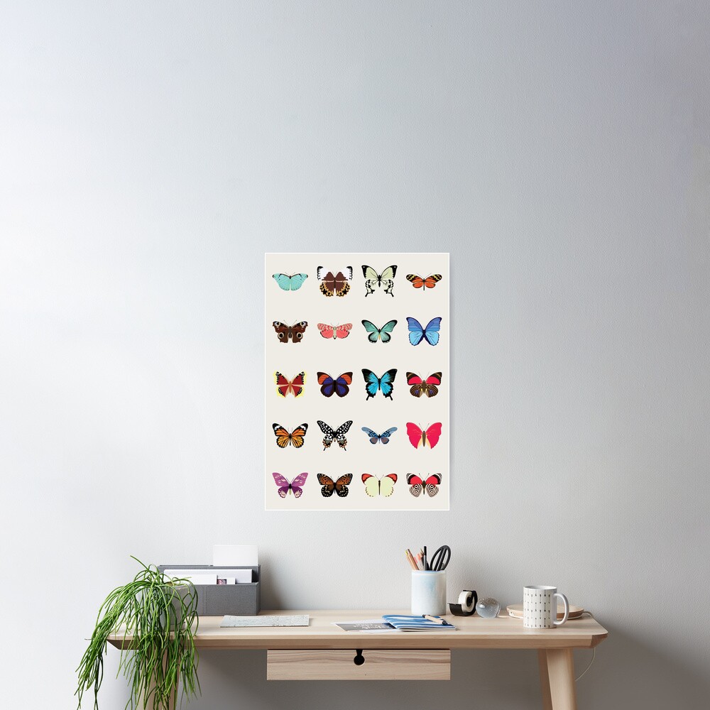 Butterflies Poster