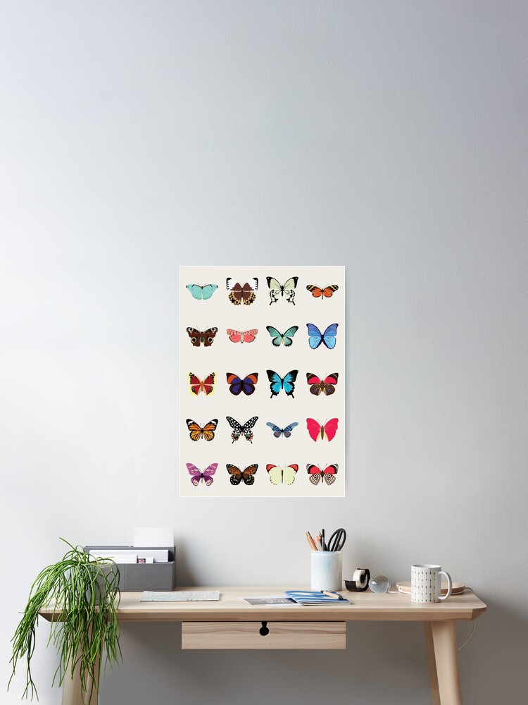 Alternate view of Butterflies Poster
