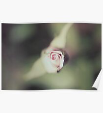 Pale Poster
