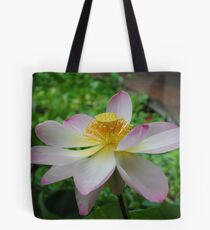Lotus Flower Tote Bag