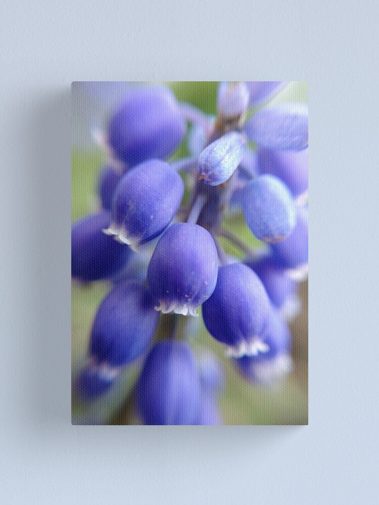 Alternate view of Purple Bells Canvas Print