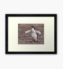 Gimme a Hug! Framed Print