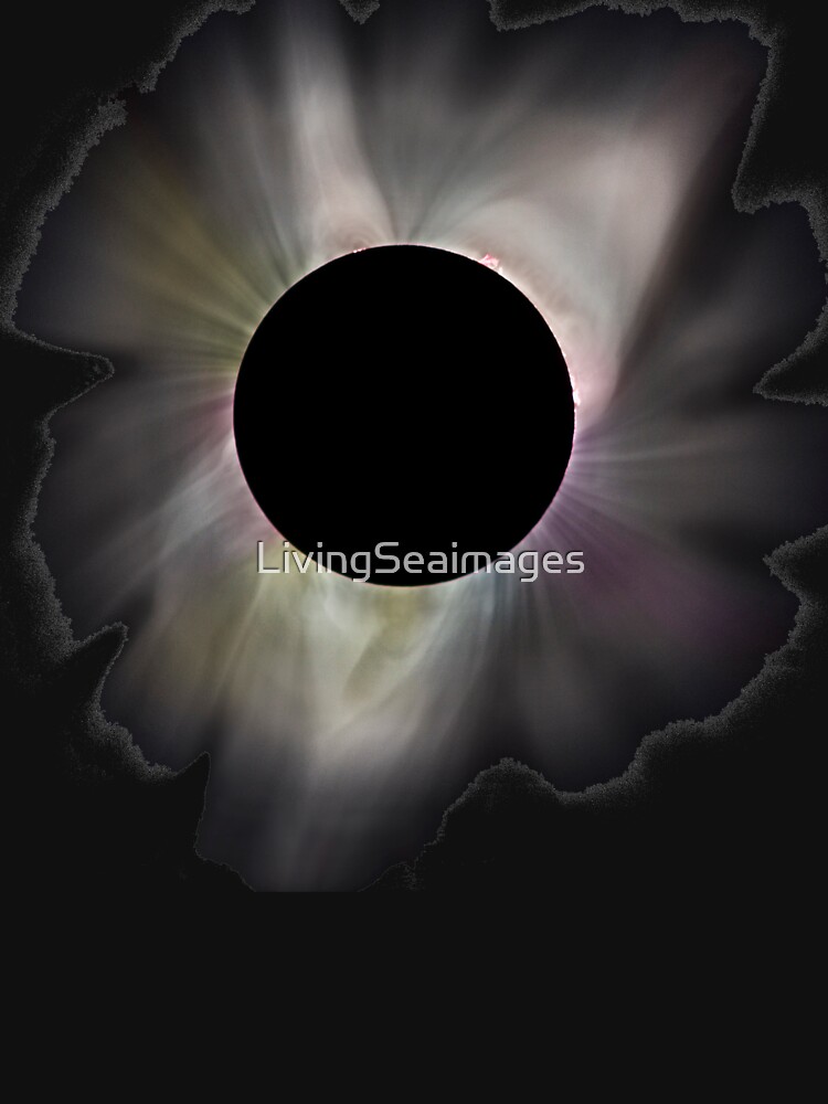The corona of the sun. by LivingSeaimages