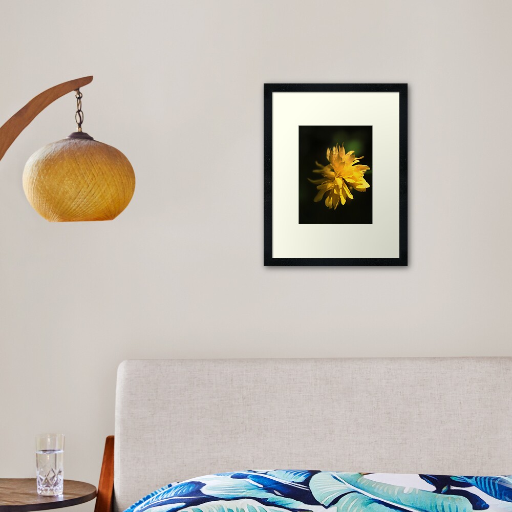Beautiful Yellow Flower in Full Bloom Framed Art Print