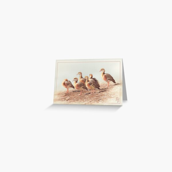 Plumed Whistling Ducks card Greeting Card