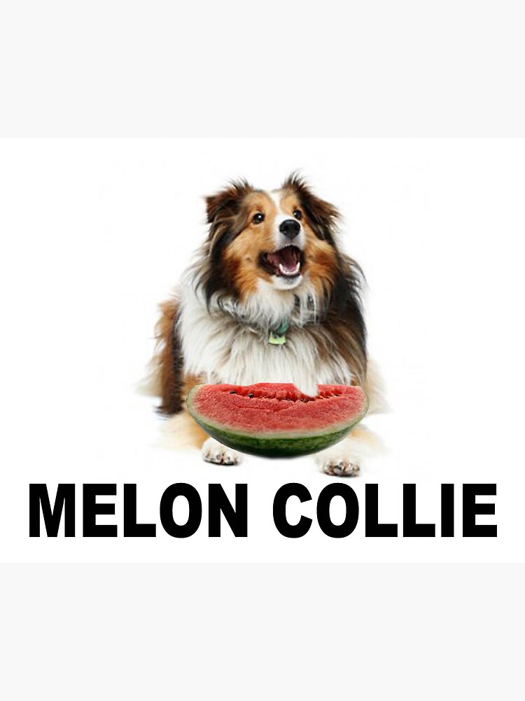 "Melon Collie" Canvas Print by JLHStudios Redbubble