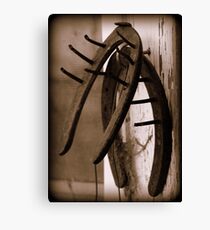 Horse shoes Canvas Print
