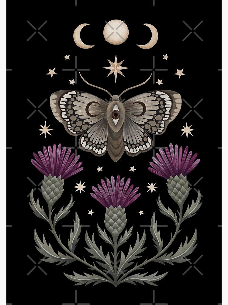 Thistle and moth by Laorel