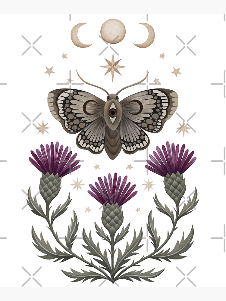 Thistle and moth by Laorel