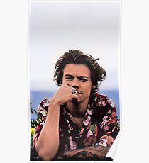 Harry Relax Poster