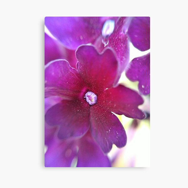 Purple Flower Canvas Print