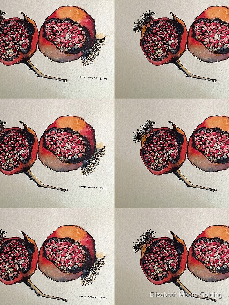 Pomegranate. Pen and wash. by emgolding