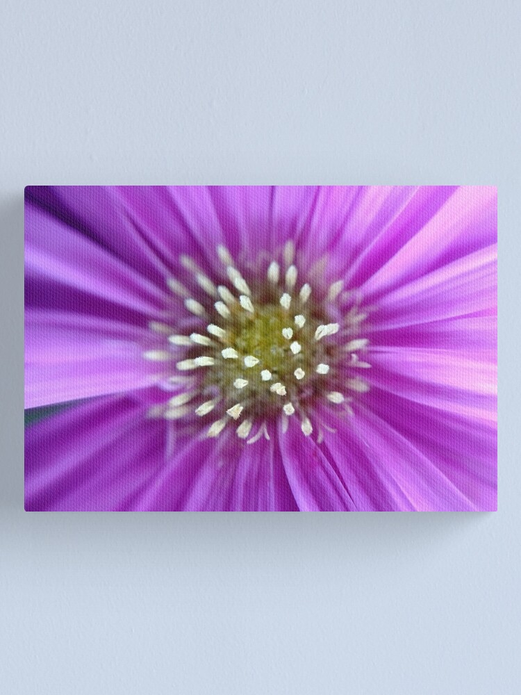 Alternate view of Purple Sun Canvas Print
