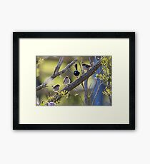 Sunset Family Time Framed Print