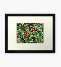 RED GARDEN FLOWERS. Framed Print