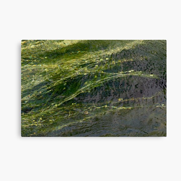 sharing memories Canvas Print