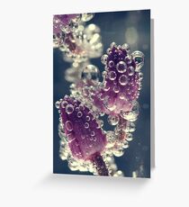 Art of bubbles. Greeting Card