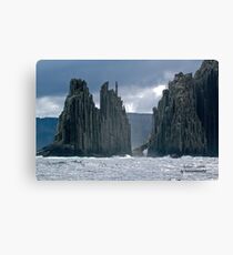 TASMAN PENINSULA ~ Tasman Island Sea Cliffs by tasmanianartist Canvas Print