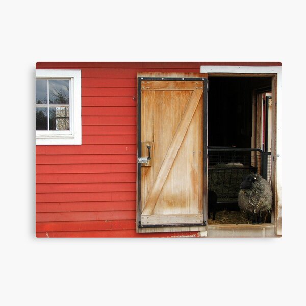 Peaking Out Canvas Print