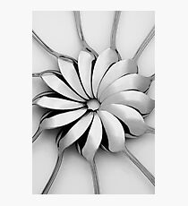 Spoons I Photographic Print