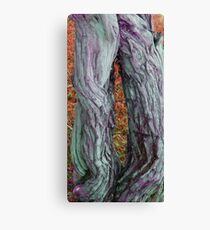 Chaps Canvas Print
