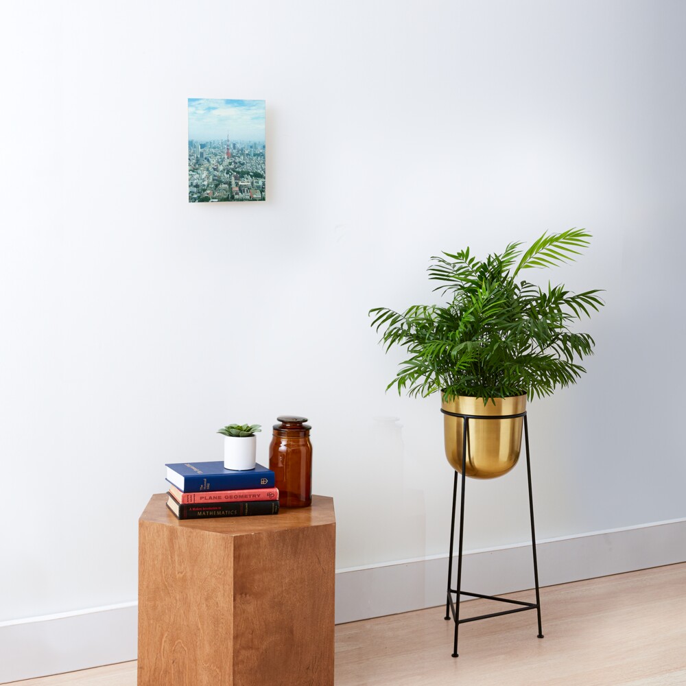 Tokyo Mounted Print
