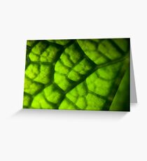 Eco Subdivision Greeting Card