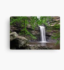 Cedar Falls, Petit Jean Mountain Arkansas Canvas Print