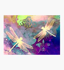 Painting Orchids & Dragonflies. Photographic Print