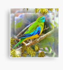 Pretty Boy Canvas Print